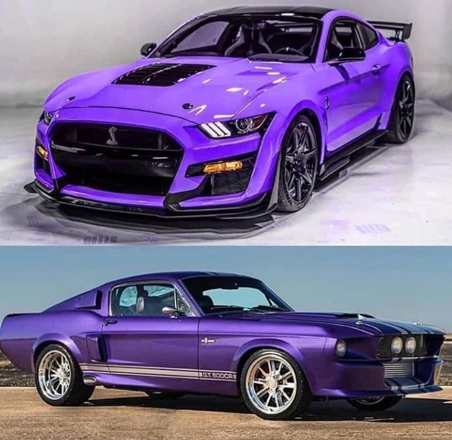 New or Old Mustang Shelby GT-500?