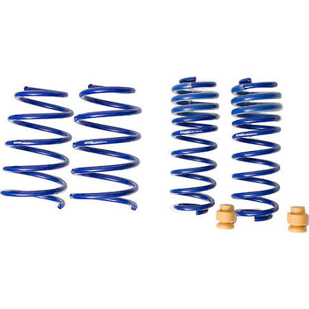 2005-2014 Ford Mustang V6 + V8 Extreme Lowering Springs by Roush Performance